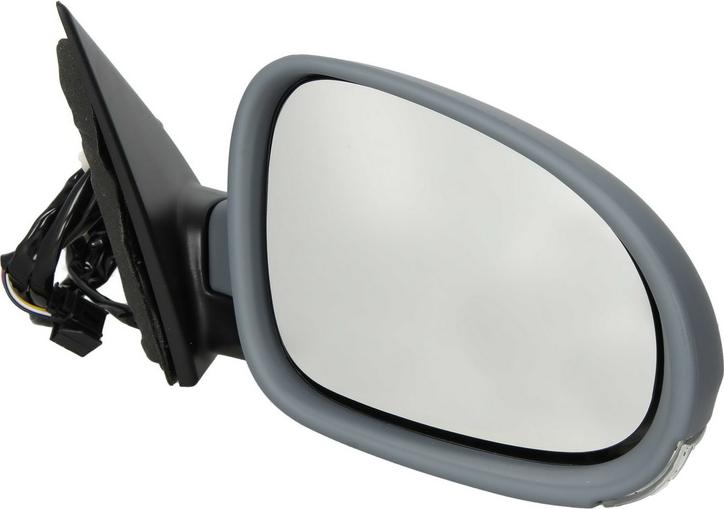BLIC 5402-04-1132118P - Outside Mirror car-mod.net