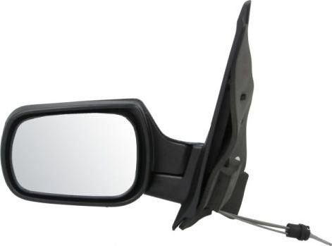 BLIC 5402-04-1137389 - Outside Mirror car-mod.net