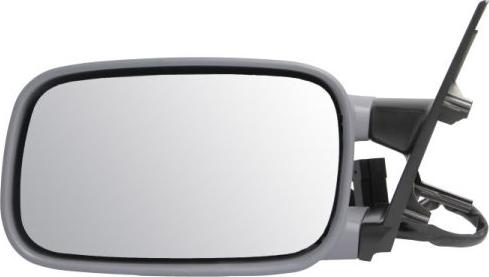 BLIC 5402-04-1125114 - Outside Mirror car-mod.net