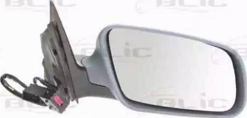 BLIC 5402-04-1122793 - Outside Mirror car-mod.net