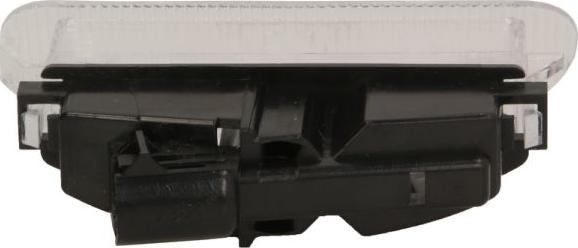 BLIC 5402-042-31-905 - Licence Plate Light car-mod.net