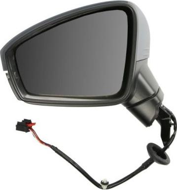 BLIC 5402-01-1609310P - Outside Mirror car-mod.net