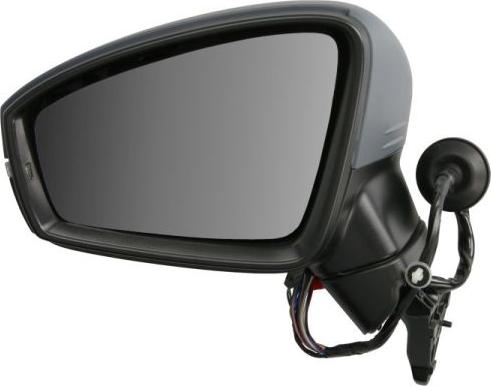 BLIC 5402-01-1609312P - Outside Mirror car-mod.net