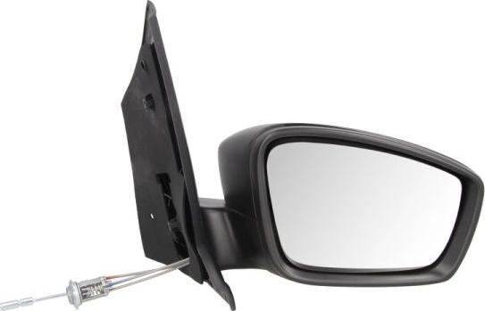 BLIC 5402-01-2002596P - Outside Mirror car-mod.net