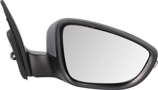 BLIC 5402-01-2002590P - Outside Mirror car-mod.net