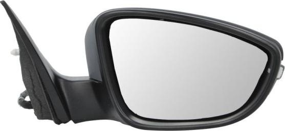 BLIC 5402-01-2002694P - Outside Mirror car-mod.net
