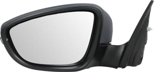 BLIC 5402-01-2002693P - Outside Mirror car-mod.net