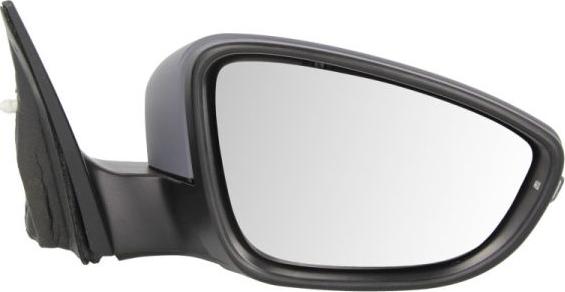 BLIC 5402-01-2002692P - Outside Mirror car-mod.net