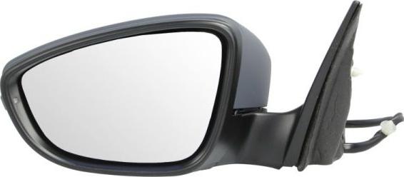 BLIC 5402-01-2002697P - Outside Mirror car-mod.net