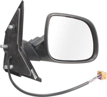 BLIC 5402-01-2002666P - Outside Mirror car-mod.net