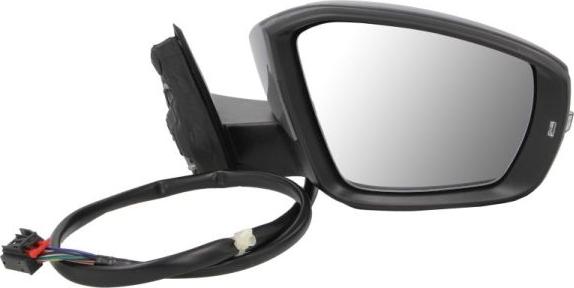 BLIC 5402-01-2151313P - Outside Mirror car-mod.net