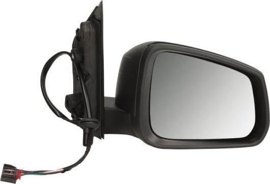 BLIC 5402-01-2381315P - Outside Mirror car-mod.net
