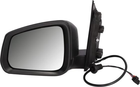 BLIC 5402-01-2381310P - Outside Mirror car-mod.net