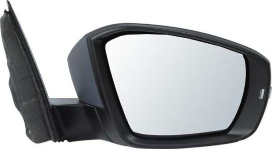 BLIC 5402-01-2339315P - Outside Mirror car-mod.net