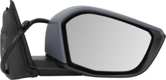 BLIC 5402-08-2543311P - Outside Mirror car-mod.net