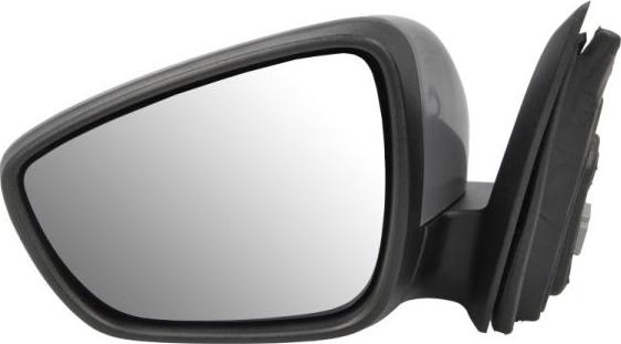 BLIC 5402-03-2152310P - Outside Mirror car-mod.net