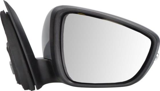 BLIC 5402-03-2152311P - Outside Mirror car-mod.net