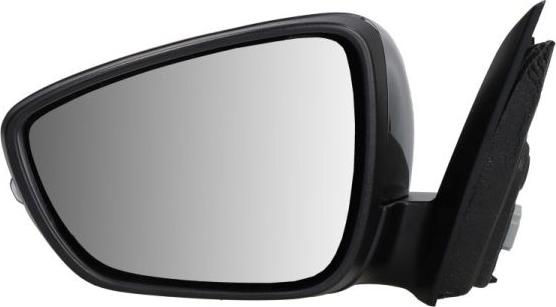 BLIC 5402-03-2152312P - Outside Mirror car-mod.net