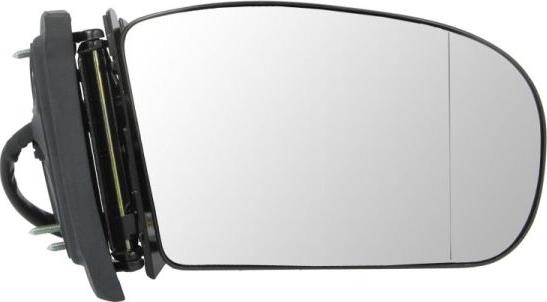 BLIC 5402-02-2002876P - Outside Mirror car-mod.net
