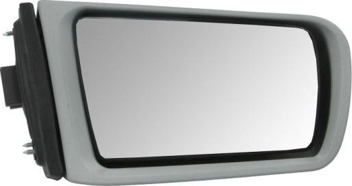BLIC 5402-02-2002872P - Outside Mirror car-mod.net