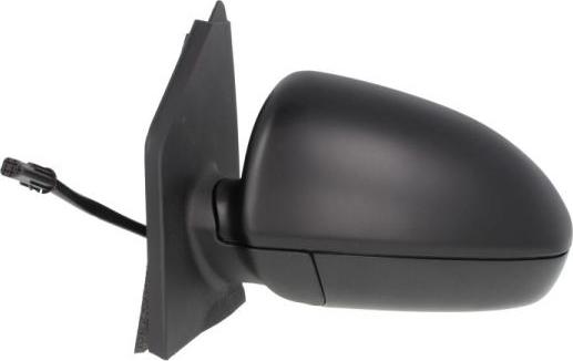 BLIC 5402-02-2002383P - Outside Mirror car-mod.net