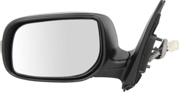 BLIC 5402-19-2002465P - Outside Mirror car-mod.net