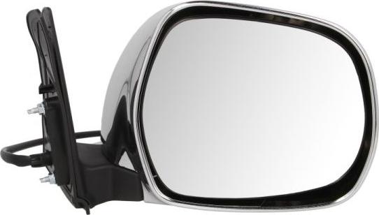 BLIC 5402-19-2002504P - Outside Mirror car-mod.net