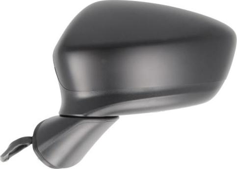 BLIC 5402-14-2001733P - Outside Mirror car-mod.net