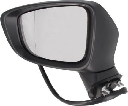 BLIC 5402-14-2001723P - Outside Mirror car-mod.net
