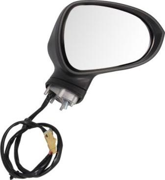 BLIC 5402-10-2002280P - Outside Mirror car-mod.net