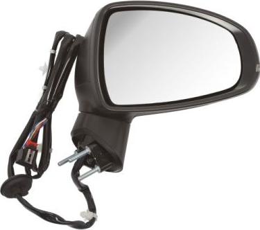 BLIC 5402-25-044366P - Outside Mirror car-mod.net