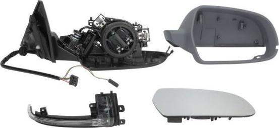 BLIC 5402-25-051364P - Outside Mirror car-mod.net