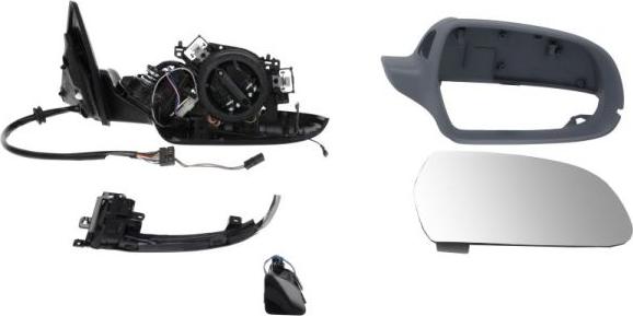 BLIC 5402-25-051338P - Outside Mirror car-mod.net