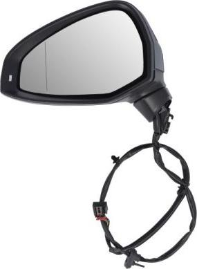 BLIC 5402-25-0054310P - Outside Mirror car-mod.net