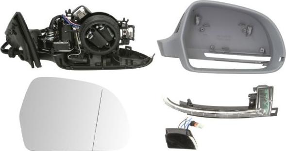 BLIC 5402-25-039332P - Outside Mirror car-mod.net