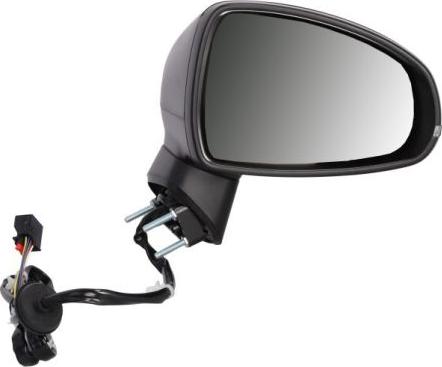 BLIC 5402-25-1629311P - Outside Mirror car-mod.net