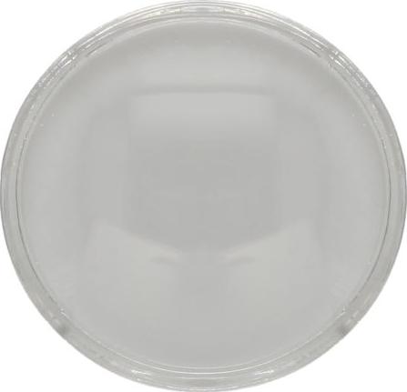 BLIC 5410-43-1330106P - Diffusing Lens of headlight, optics, glass car-mod.net