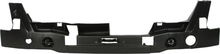 BLIC 5502-00-2505941P - Support, bumper car-mod.net