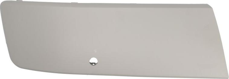 BLIC 5510-00-9568928P - Trim - Protective Strip, bumper car-mod.net