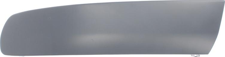 BLIC 5510-00-9568923P - Trim - Protective Strip, bumper car-mod.net