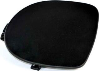 BLIC 5510-00-6032925P - Ventilation Grille, bumper car-mod.net