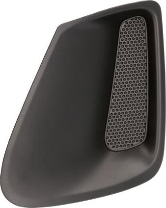 BLIC 5510-00-81169901P - Ventilation Grille, bumper car-mod.net