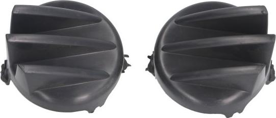BLIC 5513-00-0557915Q - Ventilation Grille, bumper car-mod.net