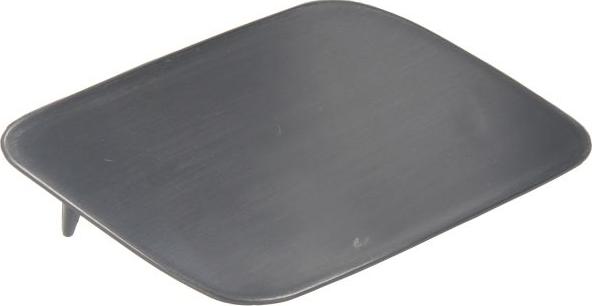BLIC 5513-00-0031924P - Cover, bumper car-mod.net
