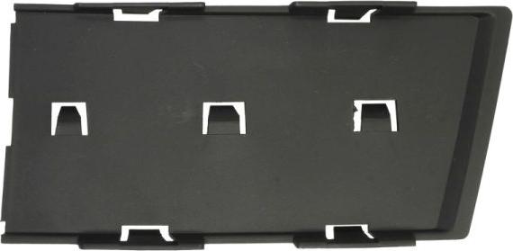 BLIC 5513-00-0028927PP - Trim - Protective Strip, bumper car-mod.net
