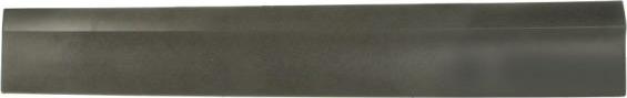BLIC 5703-04-9597572P - Trim / Protective Strip, door car-mod.net