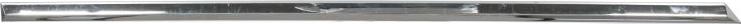 BLIC 5703-04-9540574CP - Trim / Protective Strip, door car-mod.net