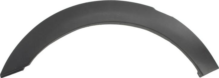 BLIC 5703-04-9522595P - Trim / Protective Strip, wing car-mod.net