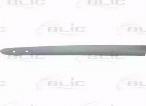 BLIC 5703-04-6032575P - Trim / Protective Strip, wing car-mod.net