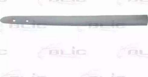 BLIC 5703-04-6032576P - Trim / Protective Strip, wing car-mod.net